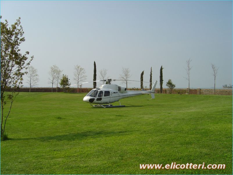 elifoto (70)